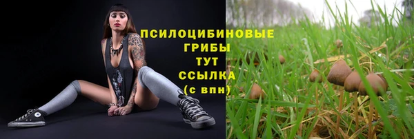 альфа пвп Верея