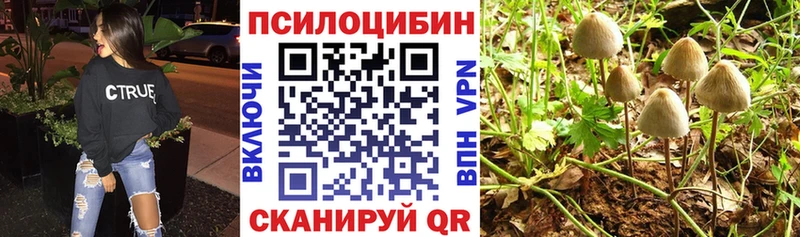 kraken рабочий сайт  Кизляр  Псилоцибиновые грибы GOLDEN TEACHER  что такое  